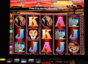 AG飞禽走兽多人版最新版